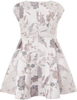 Thumbnail for your product : Monsoon Brielle Jacquard Dress