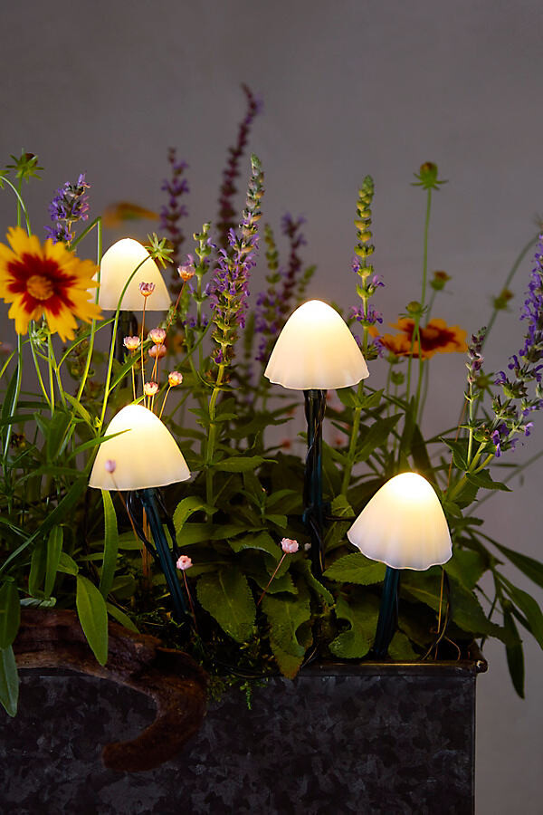 Stargazer Nature Effects Solar Mushroom Lights at Terrain
