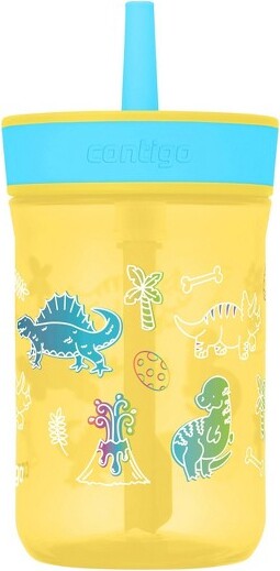 Contigo Leighton Vaccum-Insulated Kids Water Bottle with Spill