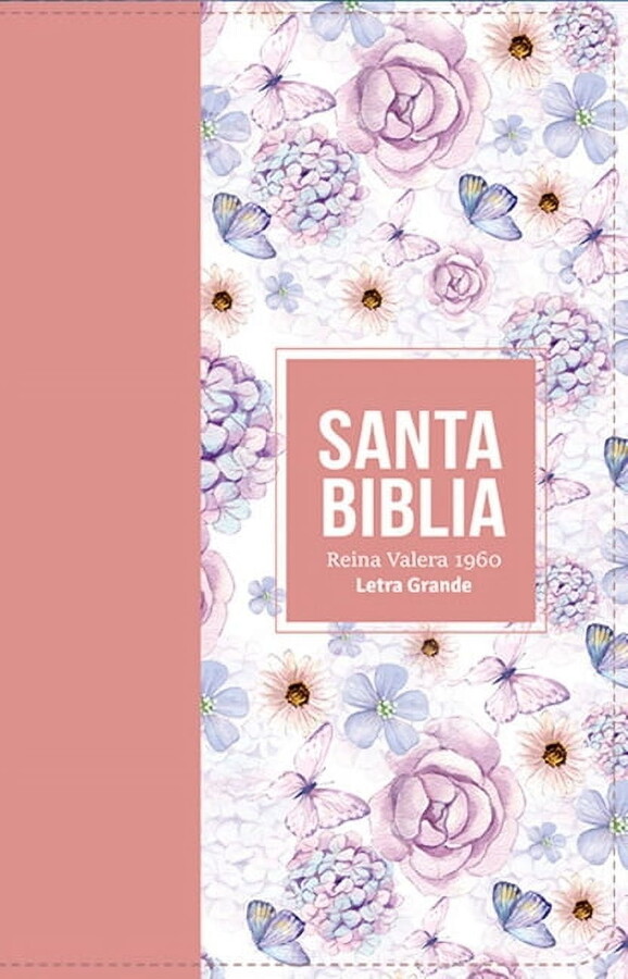 Biblia Rvr 1960 Letra Grande TamaÃ±o Manual SÃmil Piel Rosa Claro( Bible Rvr 1960 Large Print Handsize Leatherlike Butter, (Hardcover)