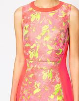 Thumbnail for your product : Ted Baker Dress in Jaquard