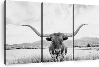 Elephant Stock Animal \