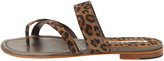 Thumbnail for your product : Manolo Blahnik Susa Flat Suede Thong Sandal, Leopard Print