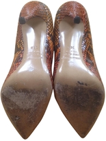 Thumbnail for your product : Nicholas Kirkwood Real Snake Skin Stilettos