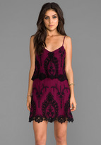 Thumbnail for your product : Dolce Vita Jeralyn Petticoat Embroidery Mini Dress