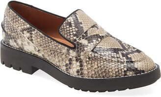 franco sarto australia