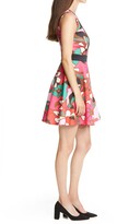 Thumbnail for your product : Ted Baker Arilina Pinata Piped Skater Dress