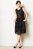 Thumbnail for your product : Anthropologie Wolven Tulia Blossom Dress