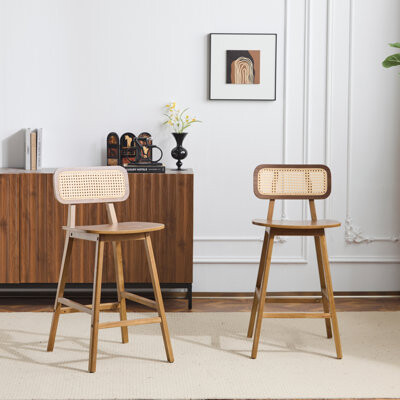 Bayou Breeze Indoor Wood Barstool Set Of 2