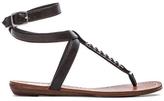 Thumbnail for your product : Dolce Vita Adryna Sandal