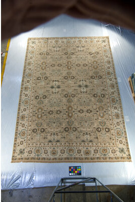Arak Oriental Hand-Knotted Wool Beige Area Rug