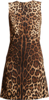 Thumbnail for your product : Dolce & Gabbana Leopard-Print Shift Dress