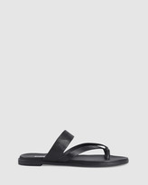 Thumbnail for your product : Siren Women's Strappy sandals - Tuesday - Size One Size, 38 at The Iconic