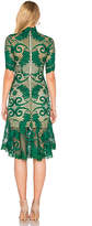Thumbnail for your product : Thurley Babylon Lace Dress