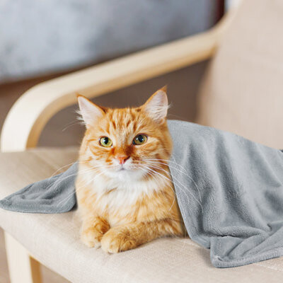 zenco homegoods 2-Pack Large Pet Blankets (39"x27") - Ultra-Soft Fluffy Fleece, Washable Dog & Cat Throw Mats