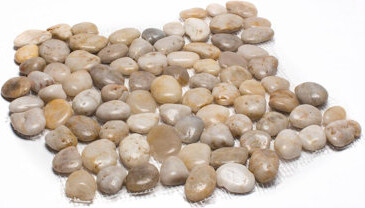 Margo Garden Products Rainforest Natural Stone Pebbles Mosaic Wall & Floor Tile