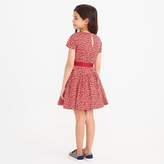 Thumbnail for your product : J.Crew J.Crew Girls' heart-print dress