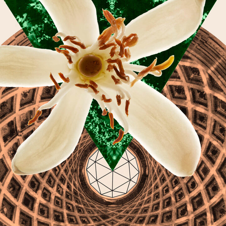 Hermetica Megaflower Eau de Parfum (Various Sizes) 50ML ShopStyle