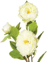 Thumbnail for your product : OKA Faux Peony Flower Stem, Large