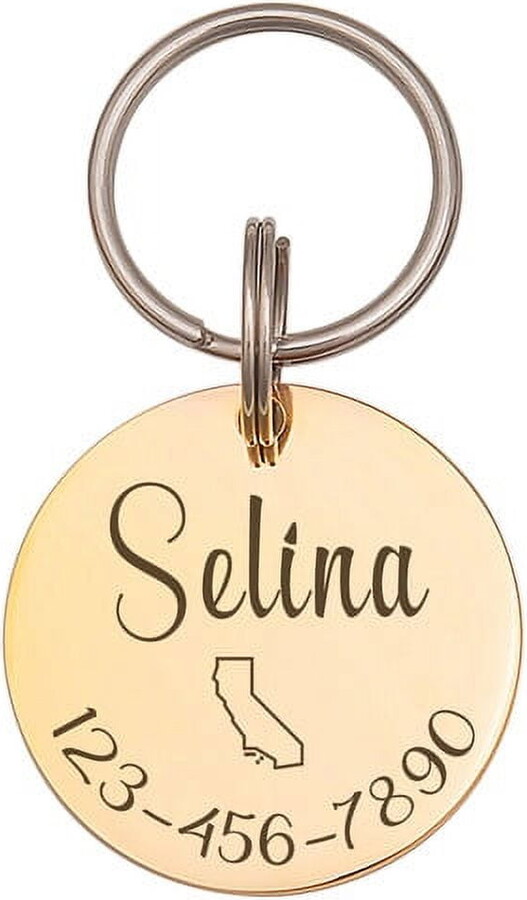 Anavia Stainless Steel Double Sided Round Name - State Icon - Phone Engraved Dog & Cat ID Tag, Gold, M