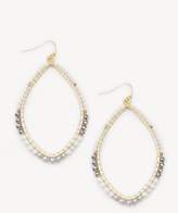 Thumbnail for your product : Sole Society Beaded Teardrop Earrings