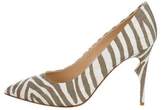 Thumbnail for your product : Jerome C. Rousseau Zebra Print Pointed-Toe Pumps w/ Tags