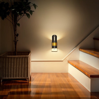 woxeon Plug Into Wall LED Night Light, Dusk To Dawn Sconce For Nightstand In Bamboo Shape