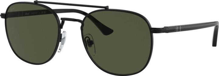 Unisex Sunglass PO1006S