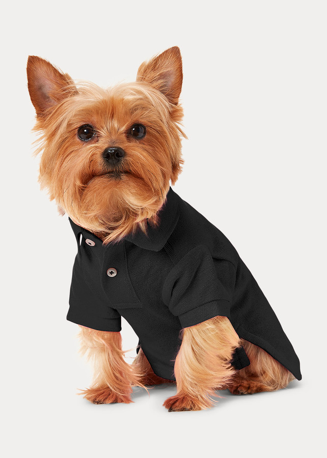 ralph lauren shirt with dog logo
