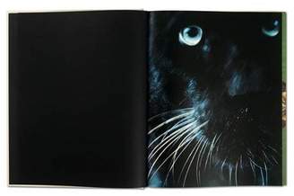 Taschen Eye To Eye, Book and Signed Print