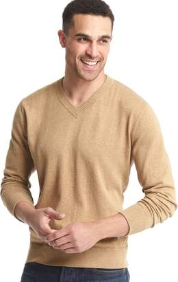 Gap Cotton V-neck sweater