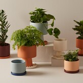 Thumbnail for your product : Oui Large Planter, Bisque