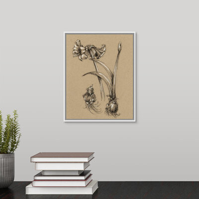 Novogratz 'Vintage Bloom Sketches IV' by The Drawing Print on Canvas