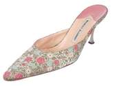 Thumbnail for your product : Manolo Blahnik Canvas Printed Mules
