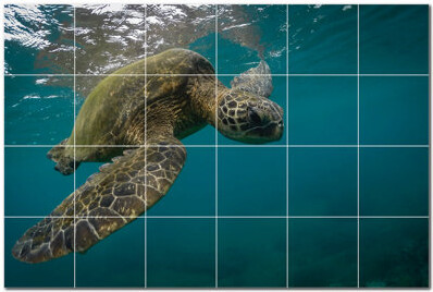 Picture-Tiles.com 6 X 6