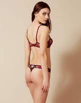 Thumbnail for your product : Agent Provocateur Bluebelle Thong Burgundy