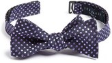 Thumbnail for your product : Ted Baker Embroidered Polka Dot Silk Bow Tie