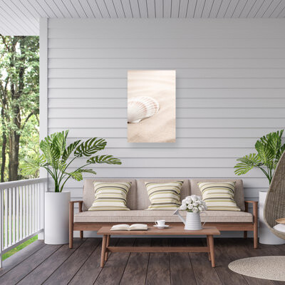 Bolog Shell 3 On Canvas Print