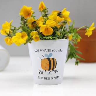 Bees Knees Jack Spratt You Are The Teacher Plant Pot