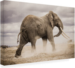 Bungalow Rose Dust On Canvas by Ali Khataw Print
