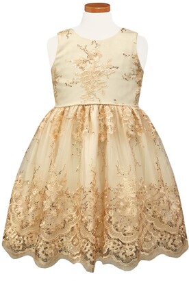 Sorbet Embroidered Tulle Party Dress