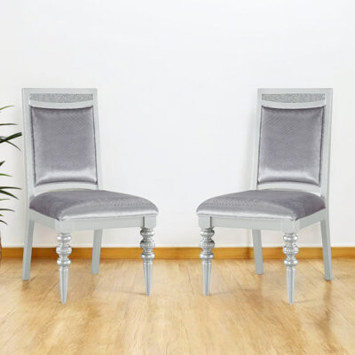 Rosdorf Park Chicory Fabric & Platinum Side Chair (set of 2)