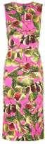 Thumbnail for your product : Dolce & Gabbana Fig Print Sheath Dress