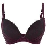 Thumbnail for your product : New Look Kelly Brook Brown Lace Vintage Push Up Bra