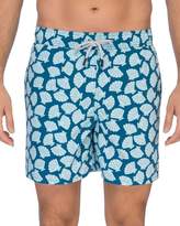 Thumbnail for your product : Trunks TOM & TEDDY Shell Print Swim