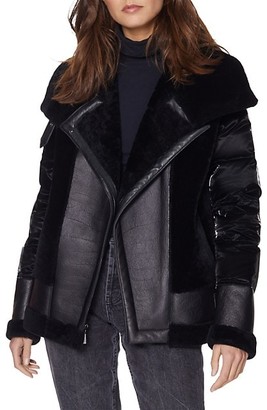 dawn levy luna jacket