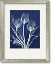 Thumbnail for your product : Courtside Market Tulip Blueprint X-Ray 16" x 20" Framed and Matted Art