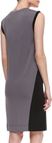 Thumbnail for your product : DKNY Shift Colorblock Crewneck Dress