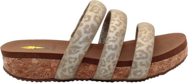 Volatile Gillette Champagne 11 M