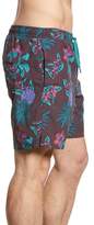 Thumbnail for your product : Saxx Pineapple Print Cannonball Swim Trunks